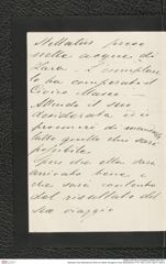Nachlass Franz Steindachner, Brief von Alberto Perugia an Franz Steindachner (17.01.1881), Inv.Nr. 392.01, Seite 2